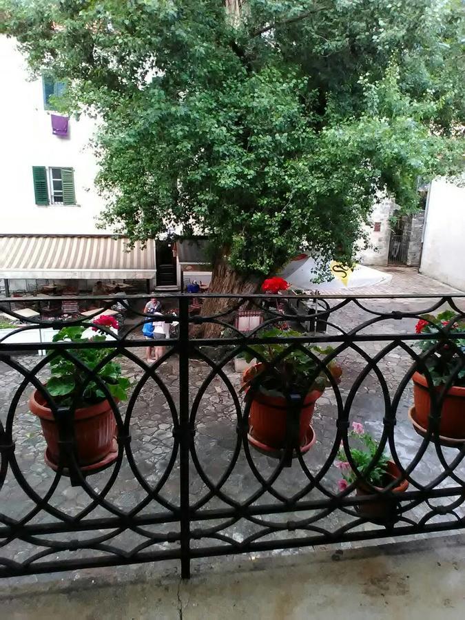 Guesthouse Nikoleta Kotor Dış mekan fotoğraf